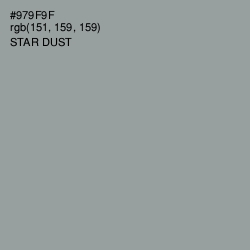 #979F9F - Star Dust Color Image